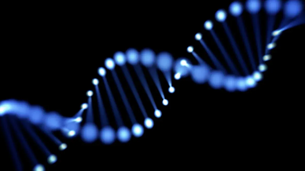 The Role of LIT-PCBA in Virtual Screening