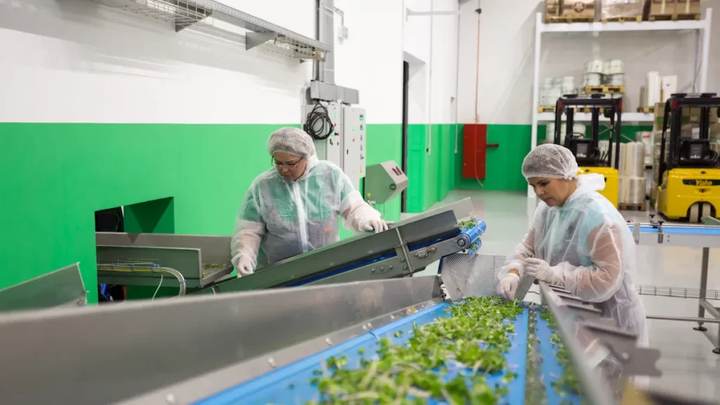 Why Recyclable PCB Assembly Processes Are Key to a Sustainable Future