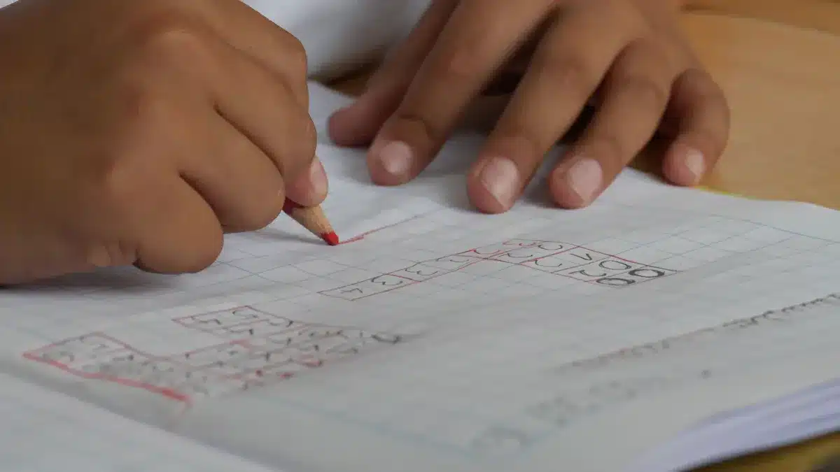 Como usar o edital verticalizado PCBA para otimizar seus estudos